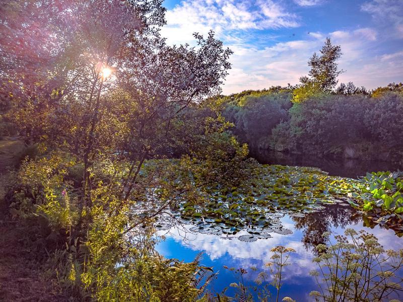 Trecombe Lakes Camborne Bagian luar foto