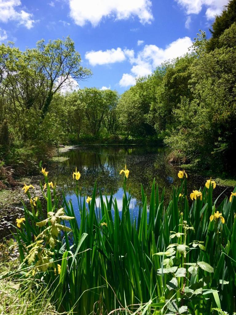 Trecombe Lakes Camborne Ruang foto