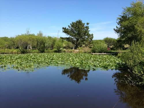 Trecombe Lakes Camborne Bagian luar foto